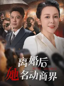 《离婚后她名动商界&中年离婚后她名动商界(30集)》短剧全集免费在线观看