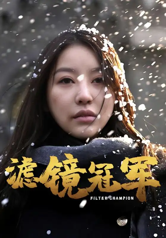 《滤镜冠军(32集)》短剧全集免费在线观看