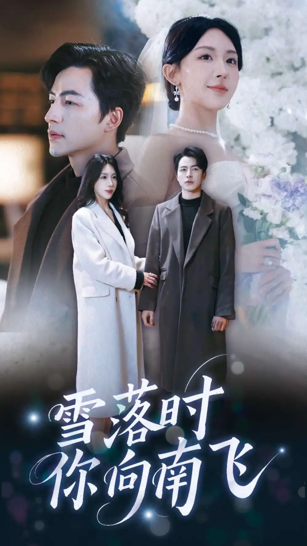 《雪落时你向南飞(34集)吴昊&房蕾》短剧全集免费在线观看