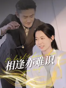 《相逢亦难识(50集)》短剧全集免费在线观看