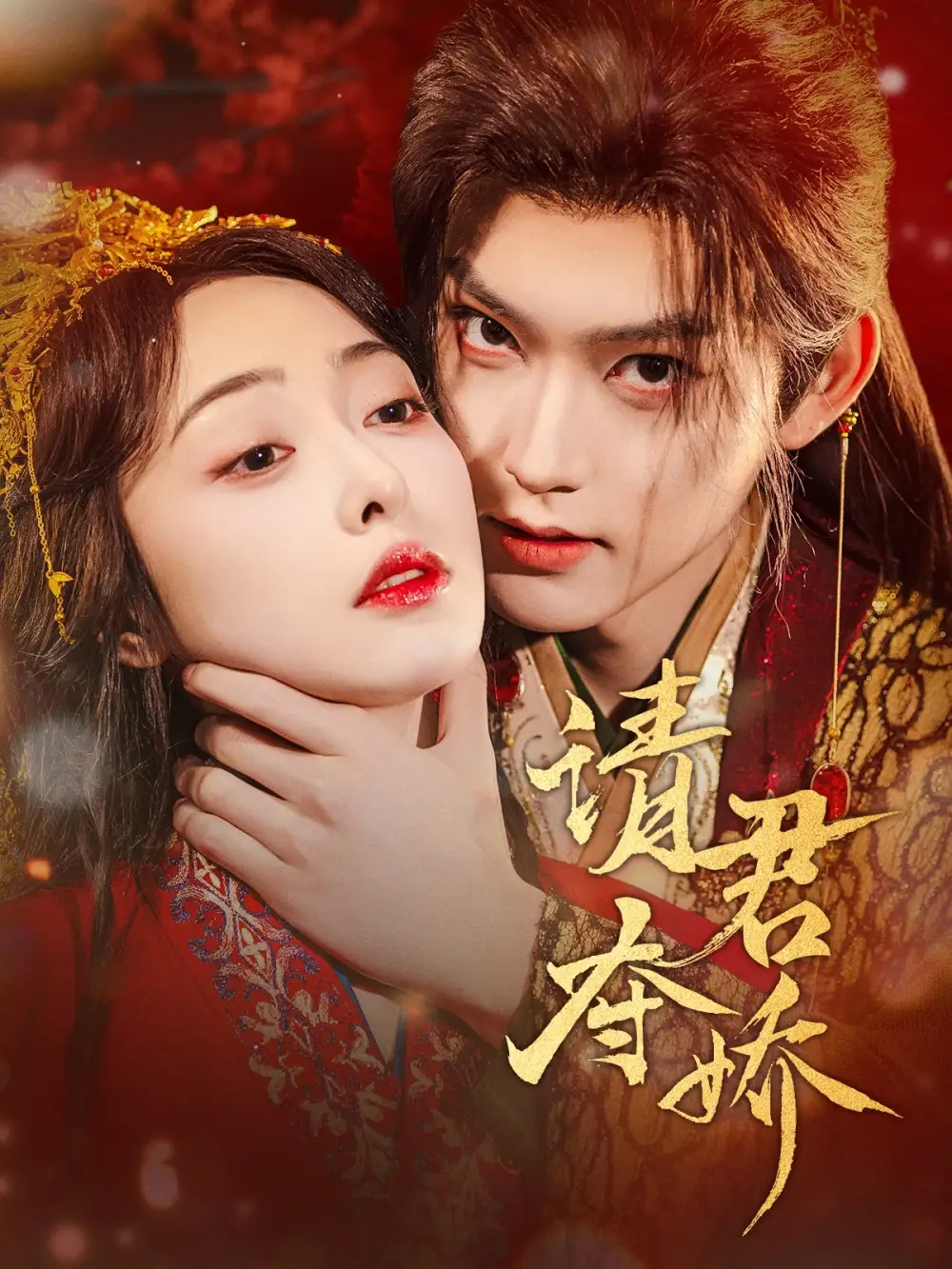 《请君夺娇(71集)》短剧全集免费在线观看