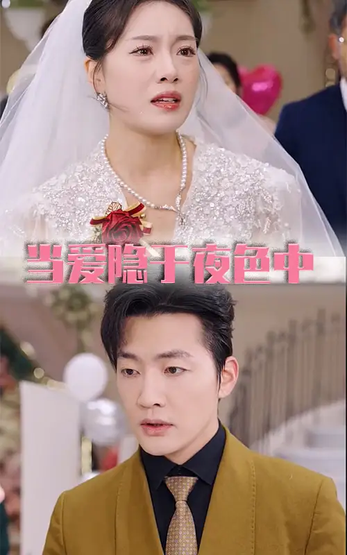 《当爱隐于夜色中(37集)张子唯》短剧全集免费在线观看