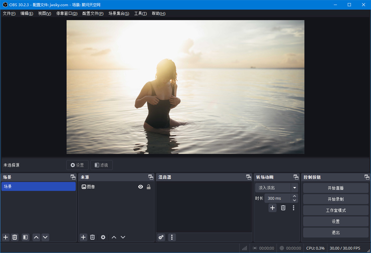 录屏直播软件 | OBS Studio v31.1.0  中文安装版及绿色版