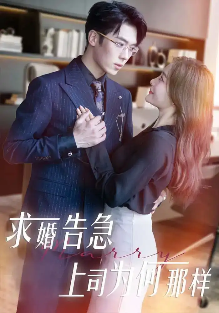 《求婚告急上司为何那样(70集)》短剧全集免费在线观看