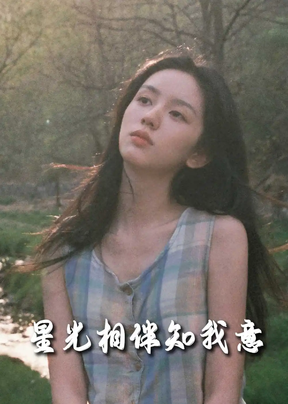 《星光相伴知我意(94集)》短剧全集免费在线观看