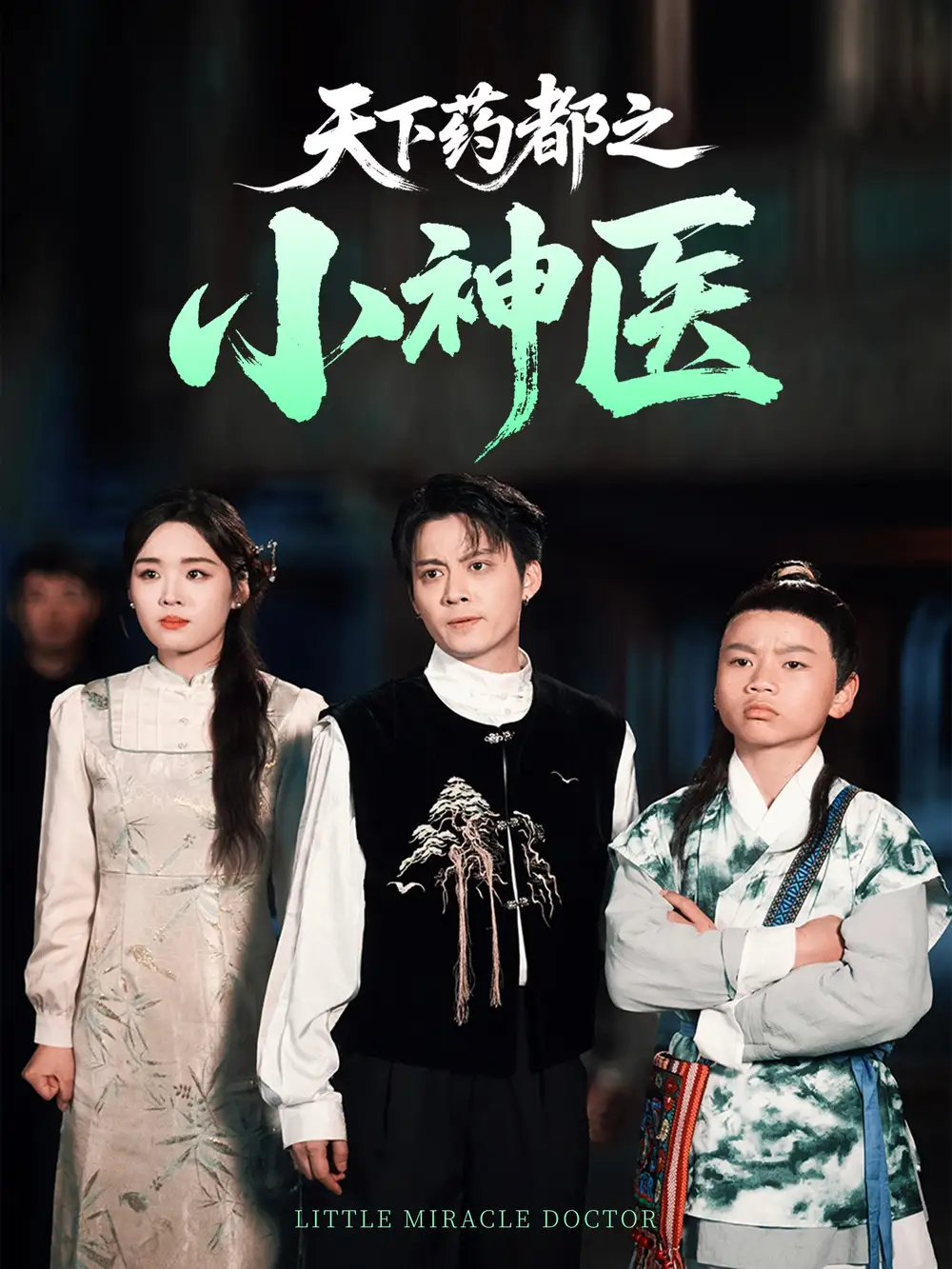 《天下药都之小神医(40集)》短剧全集免费在线观看