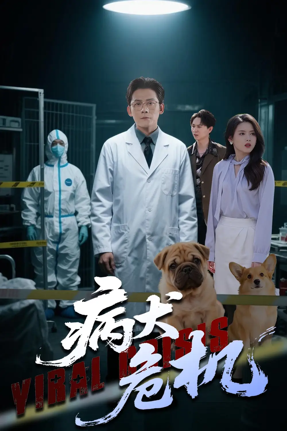 《病犬危机(68集)张浩南&彭娜莎》短剧全集免费在线观看