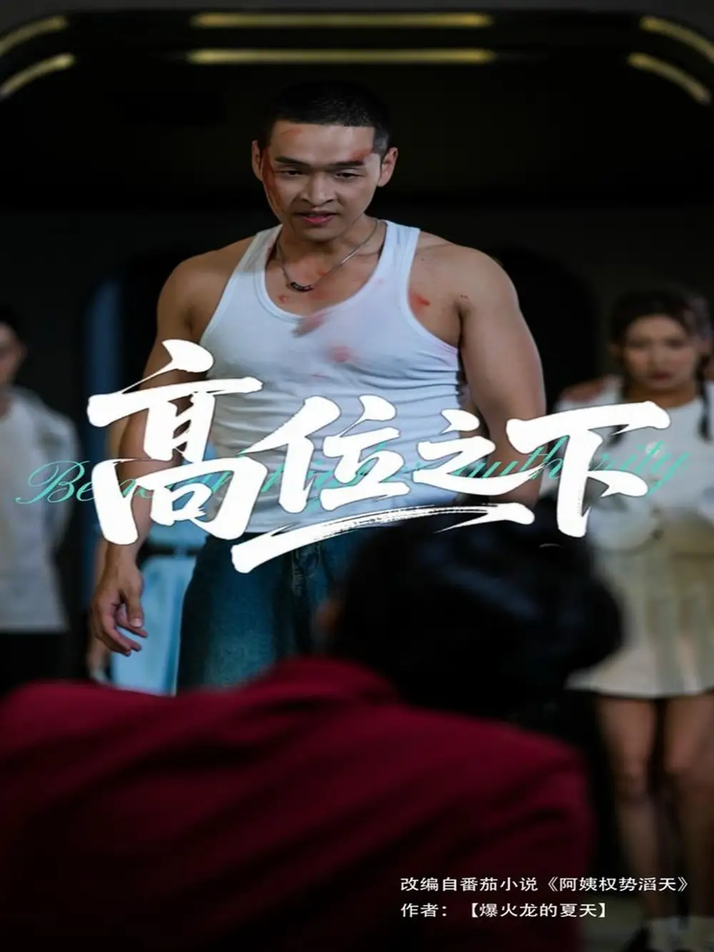 《高位之下(65集)》短剧全集免费在线观看