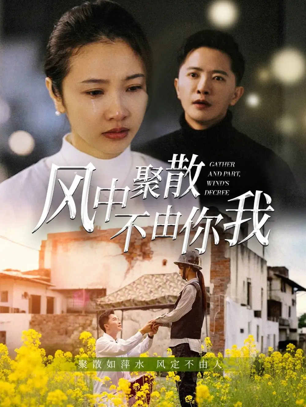 《风中聚散不由你我(41集)》短剧全集免费在线观看