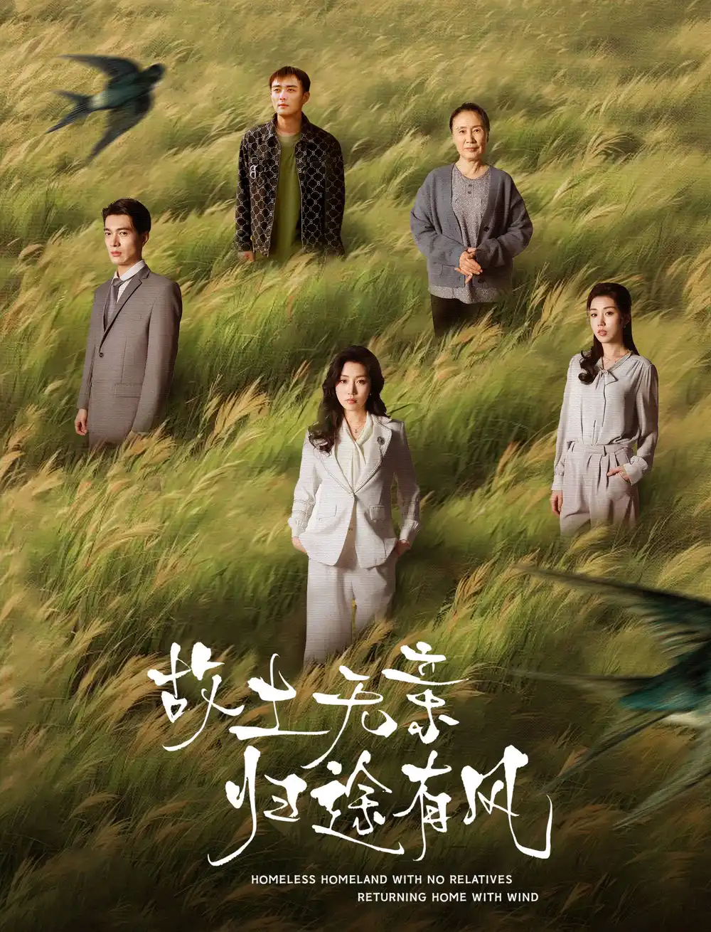 《故土无亲归途有风(31集)》短剧全集免费在线观看