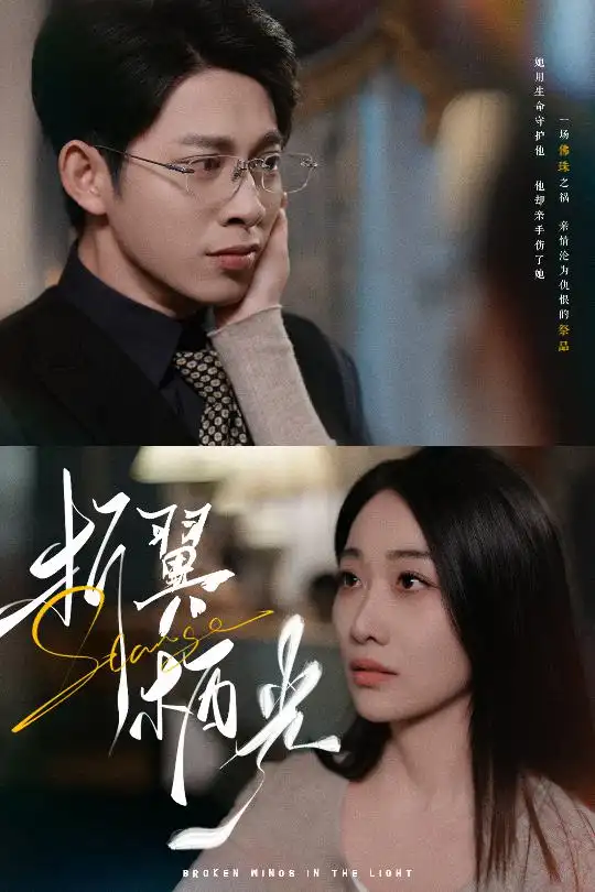 《折翼栖光(43集)白杨滋&张钰静》短剧全集免费在线观看