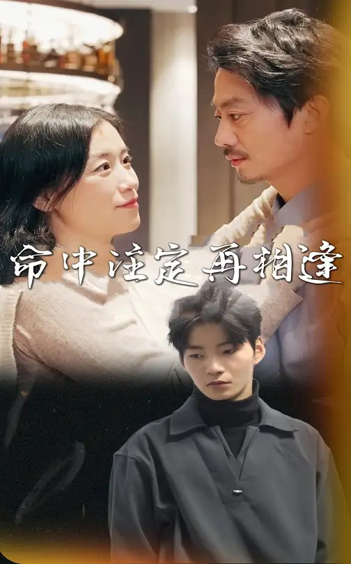 《命中注定再相逢（39集）》短剧全集免费在线观看