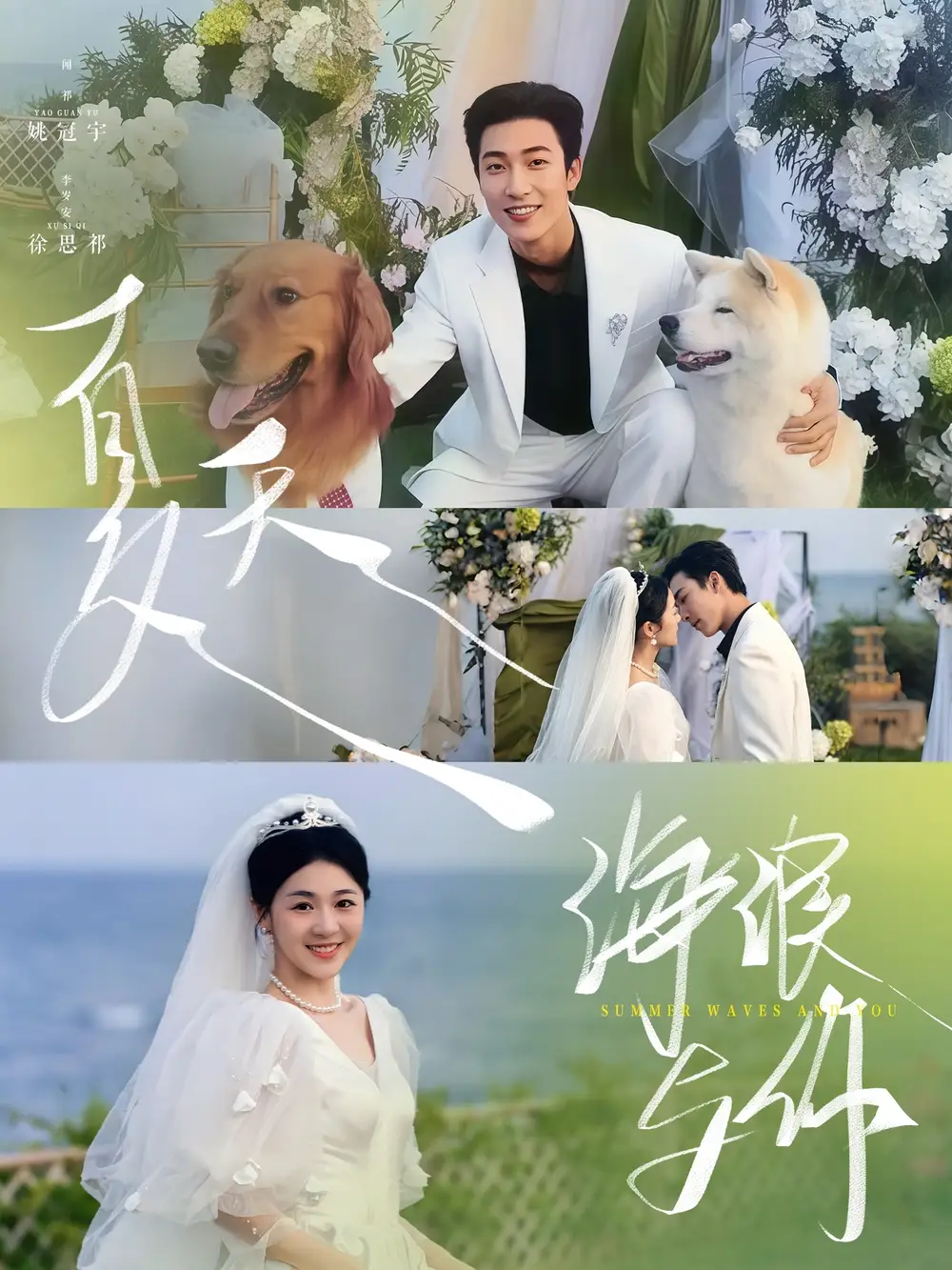 《夏天海浪与你(76集)》短剧全集免费在线观看