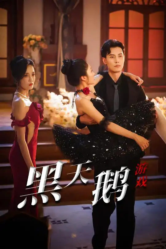 《黑天鹅游戏(60集)》短剧全集免费在线观看