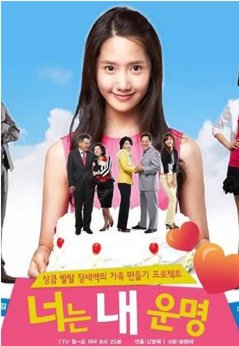 电视剧 剧情《你是我的命运》(2008)电视剧|全集高清免费在线观看