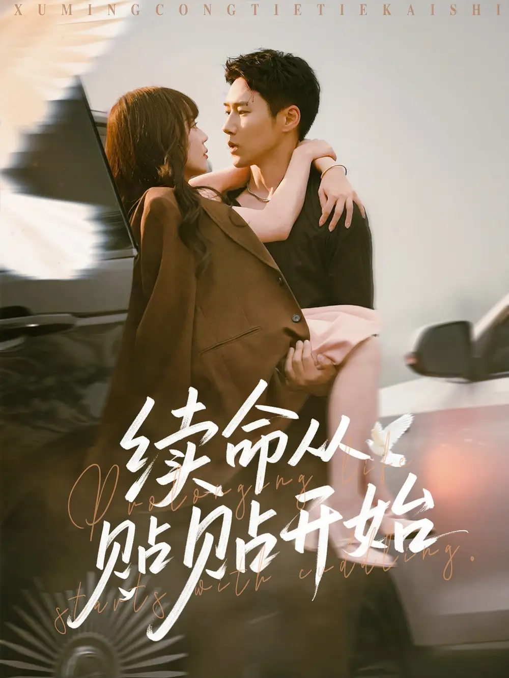 《续命从贴贴开始(66集)》短剧全集免费在线观看
