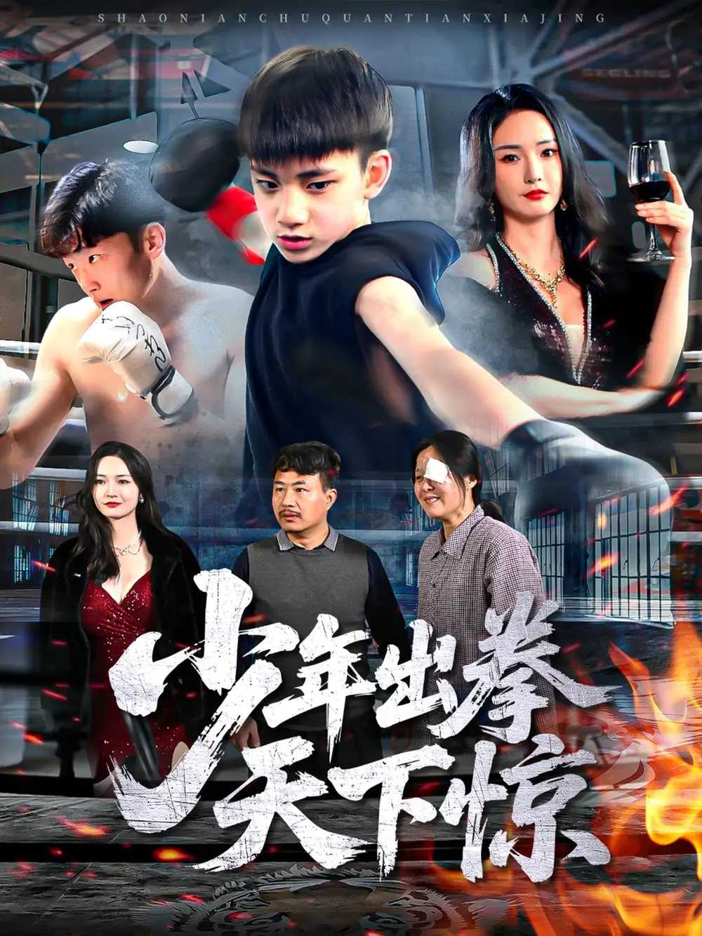 《少年出拳天下惊(60集)》短剧全集免费在线观看