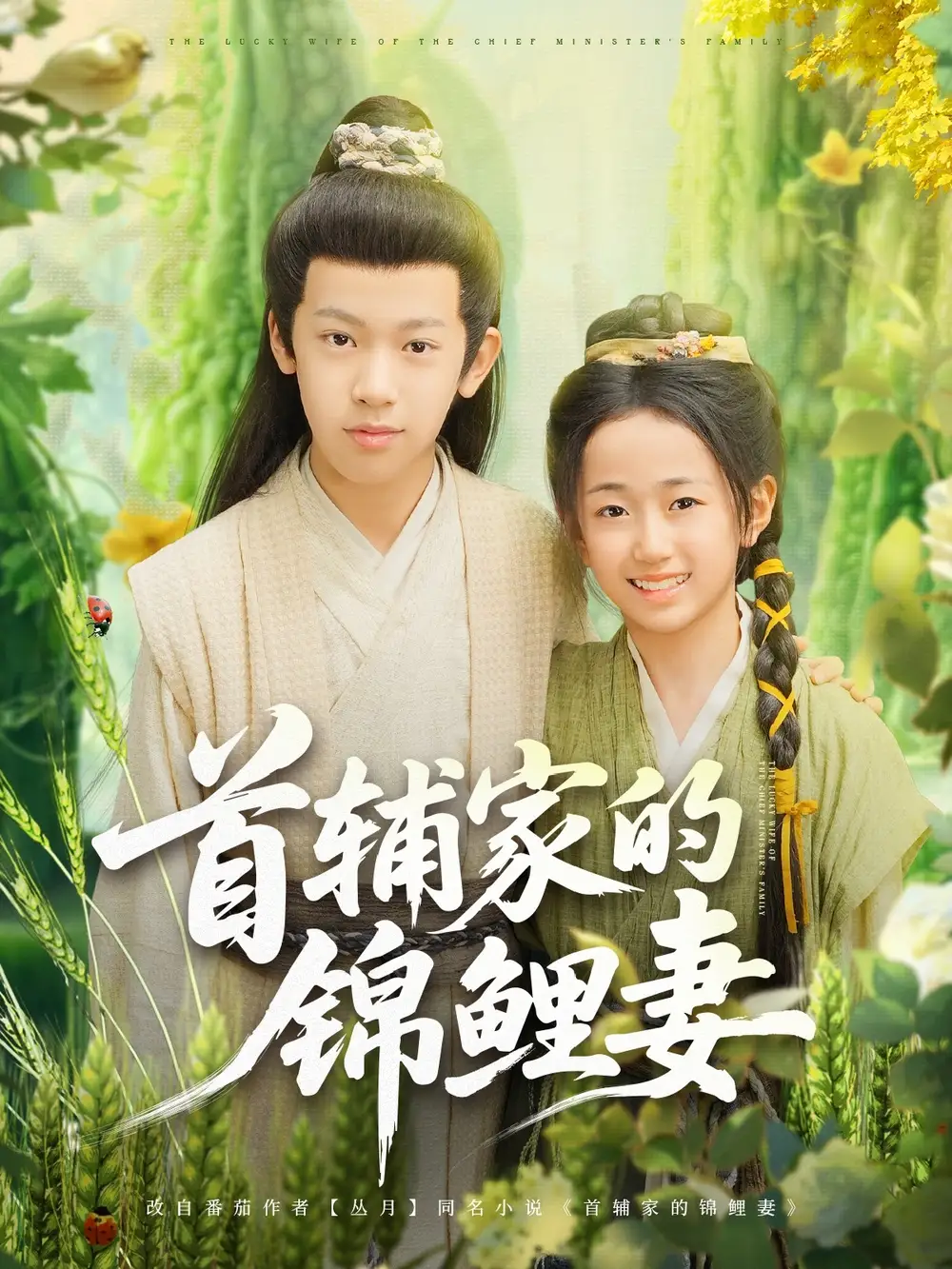 《首辅家的锦鲤妻(82集)》短剧全集免费在线观看