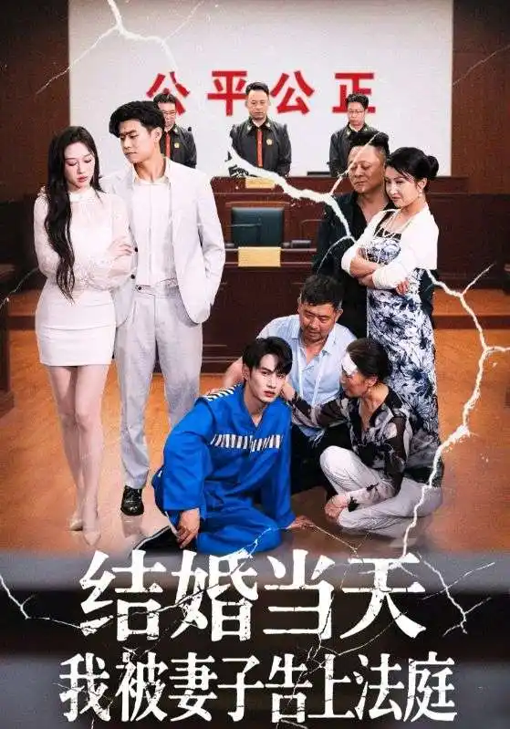 《结婚当天我被妻子告上法庭(30集)王惠》短剧全集免费在线观看