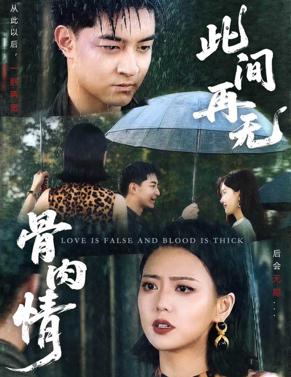 《此间再无骨肉情(60集)高岫楠》短剧全集免费在线观看