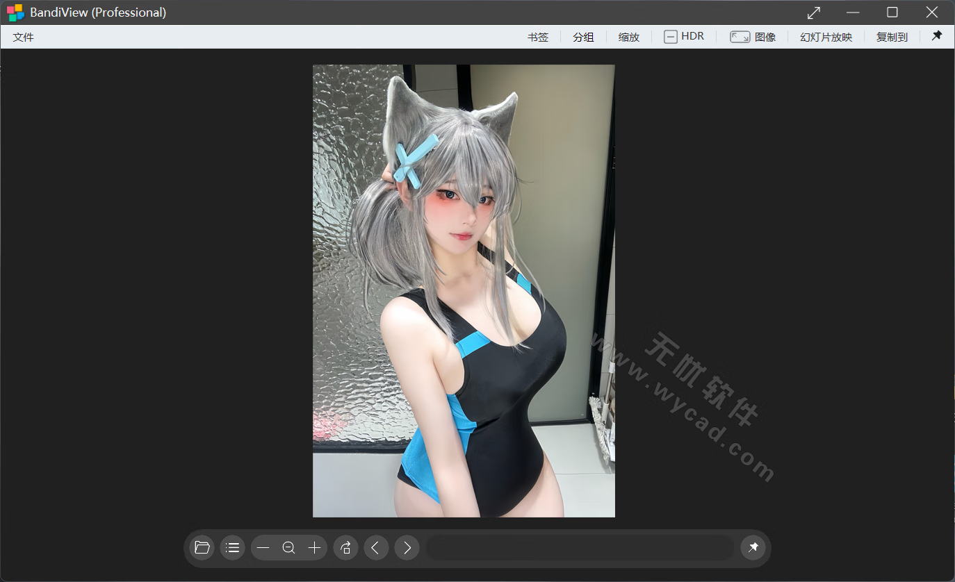 BandiView(图像查看转换器) v7.19 中文绿色版 & 安装版