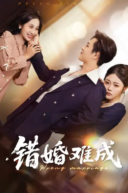 《错婚难成(45集)》短剧全集免费在线观看