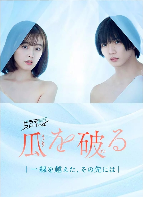 [日剧]《瓜熟蒂落》（2024）电视剧|全集高清免费在线观看
