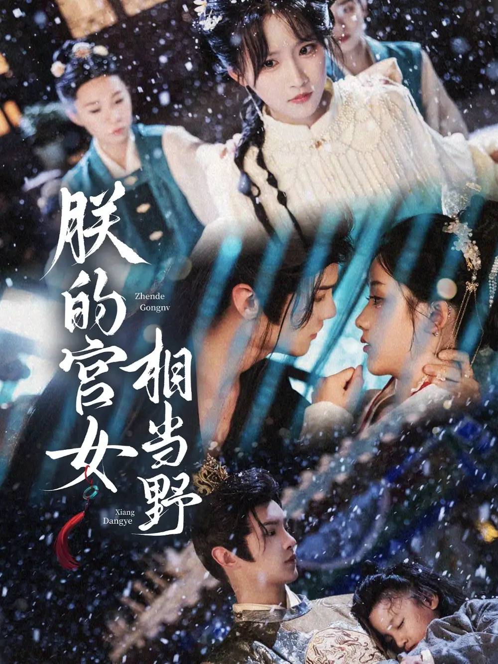 《朕的宫女相当野(62集)王燕飞》短剧全集免费在线观看