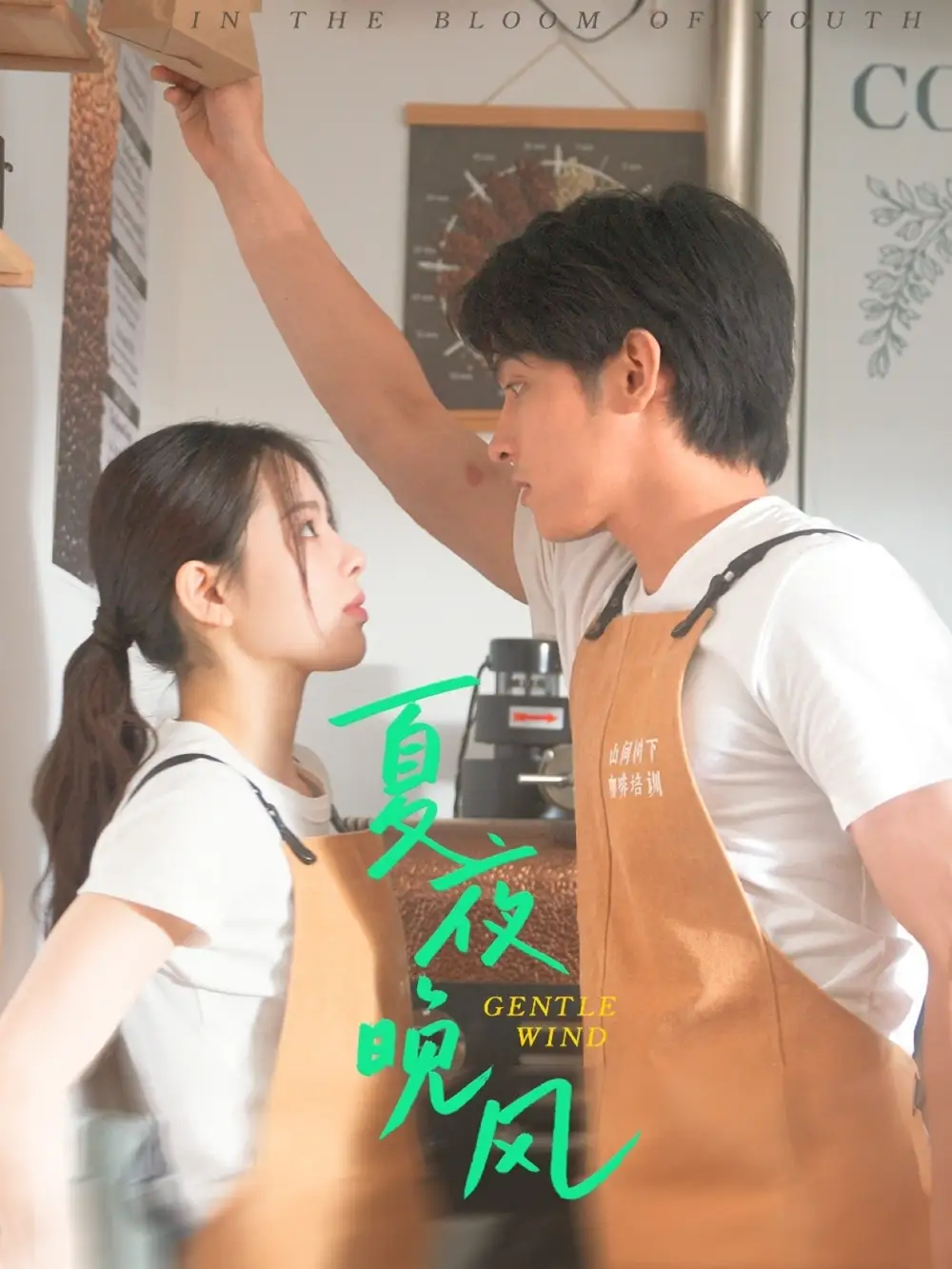 《夏夜晚风(12集)》短剧全集免费在线观看