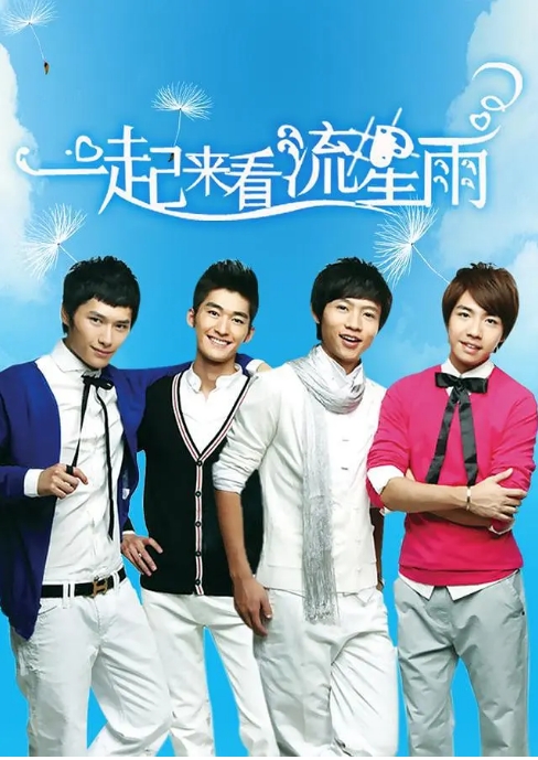 [国剧]《一起来看流星雨》（2009）电视剧|全集高清免费在线观看