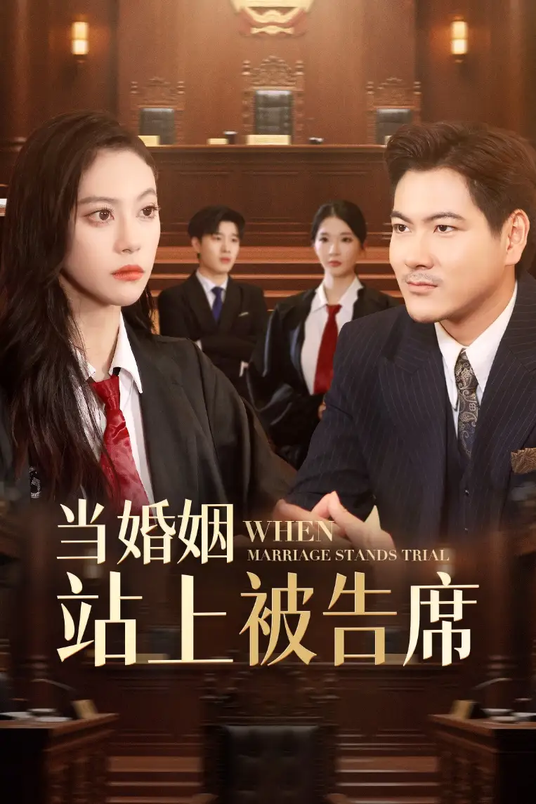 《当婚姻站上被告席(30集)刘林&刘涵飞》短剧全集免费在线观看
