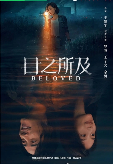 [国剧]《目之所及》（2025）电视剧|全集高清免费在线观看