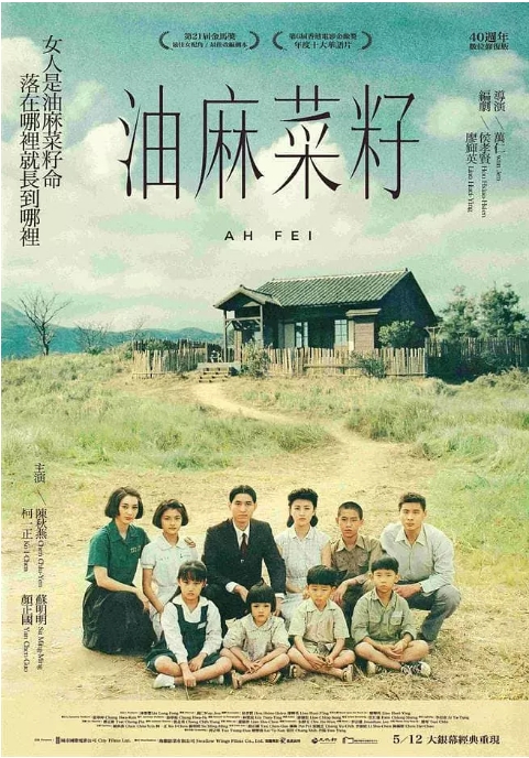 台湾电影《油麻菜籽》(1983)高清完整版免费在线观看