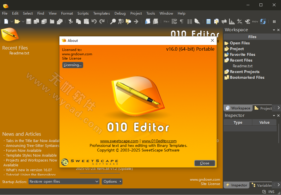 专业十六进制编辑器 | 010 Editor v16.0 官方便携版