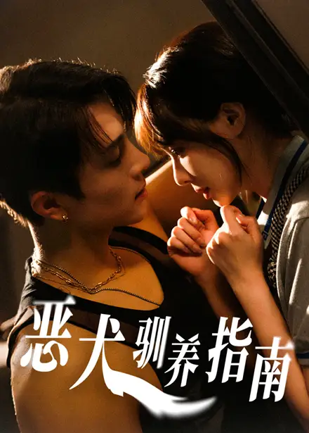 《恶犬驯养指南(40集)》短剧全集免费在线观看