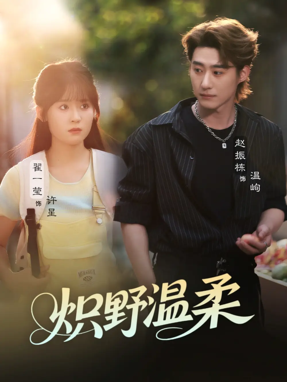 《炽野温柔(72集)翟一莹&赵振栋&刘雨杉(与三)》短剧全集免费在线观看