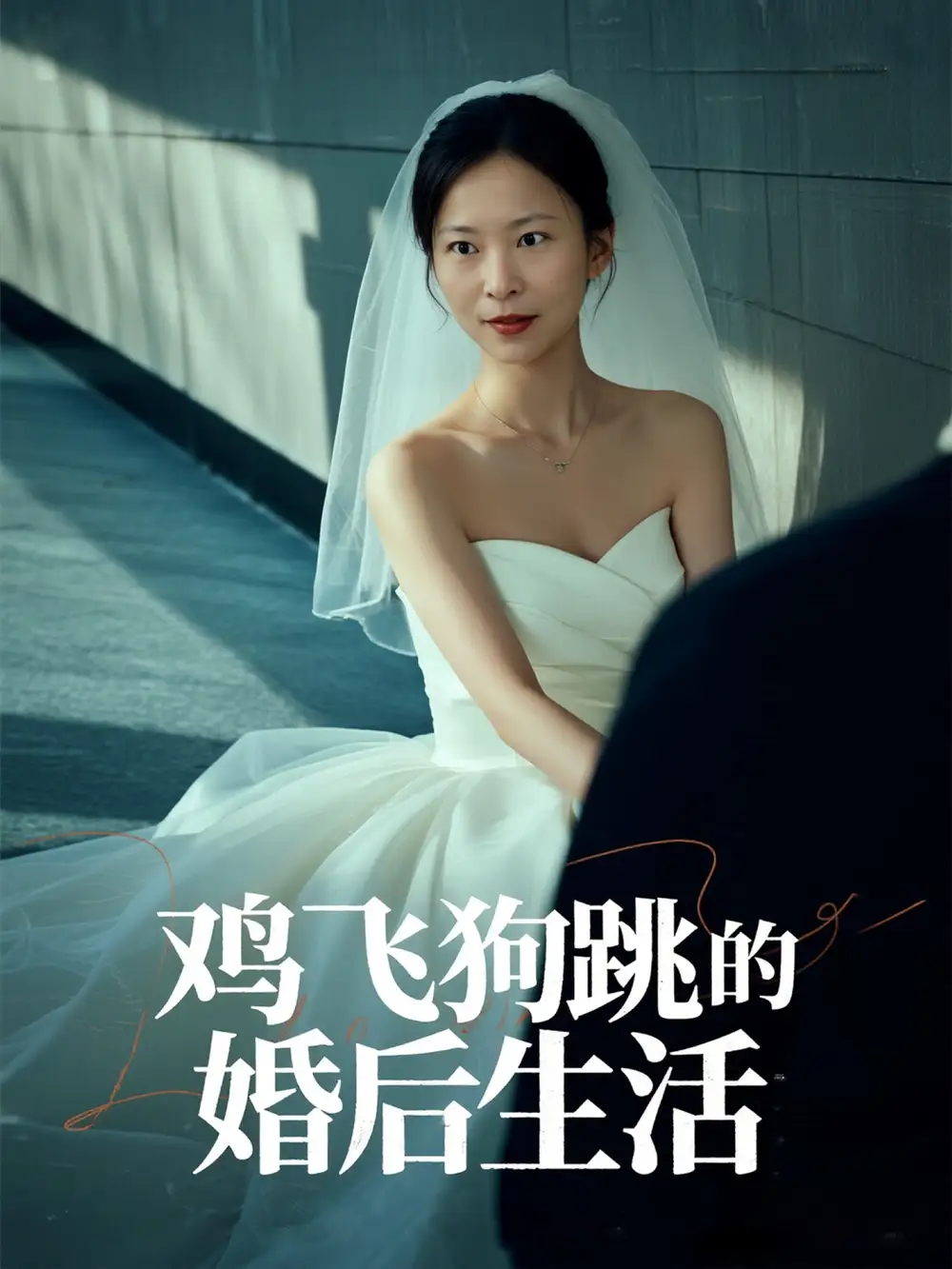 《鸡飞狗跳的婚后生活(28集)》短剧全集免费在线观看