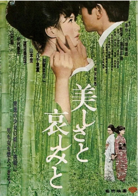 日本电影《美丽与哀伤》(1965)高清完整版免费在线观看