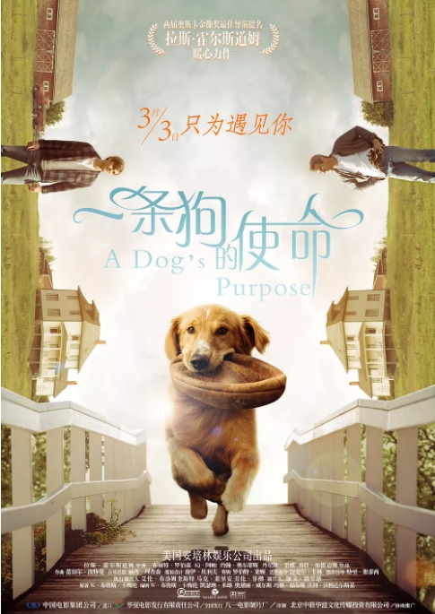 电影 剧情 / 喜剧 / 家庭《一条狗的使命》美国(1-2部/2017/2019) 豆瓣7.7高清完整版免费在线观看