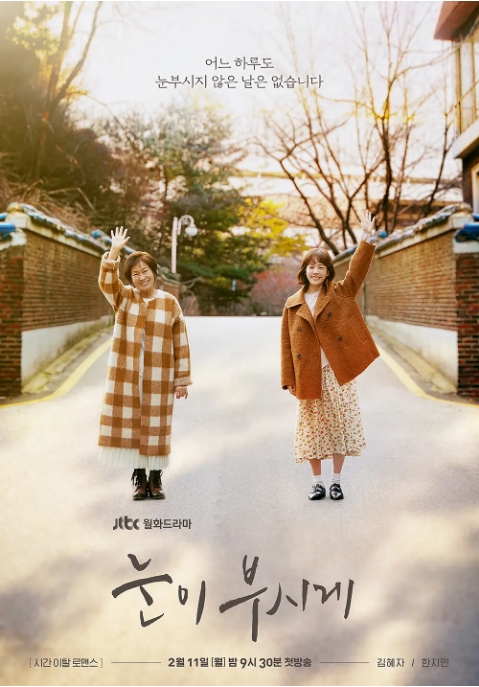 [韩剧]《耀眼》（2019）电视剧|全集高清免费在线观看