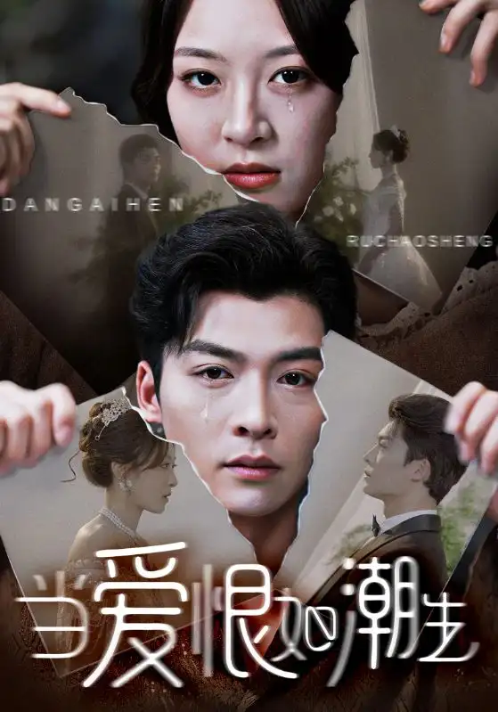 《当爱恨如潮生(71集)方正男&程琳淼》短剧全集免费在线观看