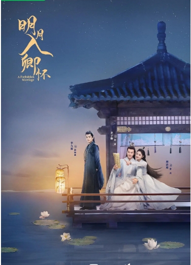 [国剧]《明月入卿怀》（2025）电视剧|全集高清免费在线观看