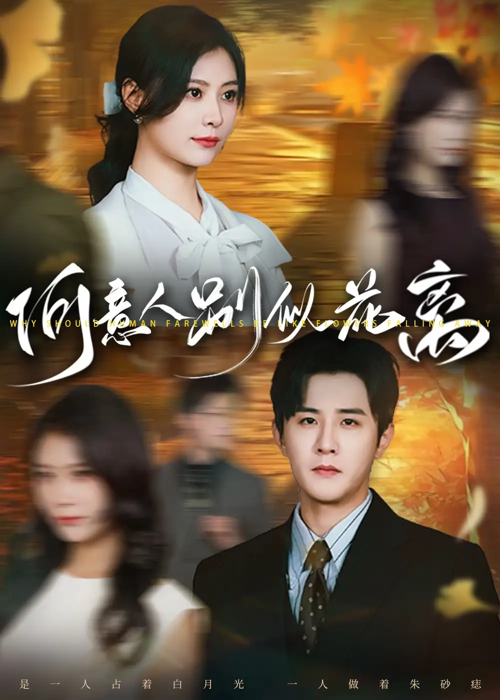 《何意人别似花离(61集)》短剧全集免费在线观看