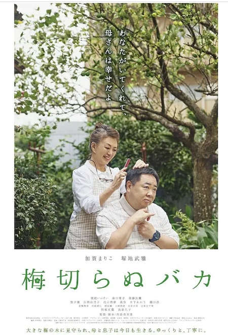 日本电影《不砍梅树的傻瓜》(2021)高清完整版免费在线观看