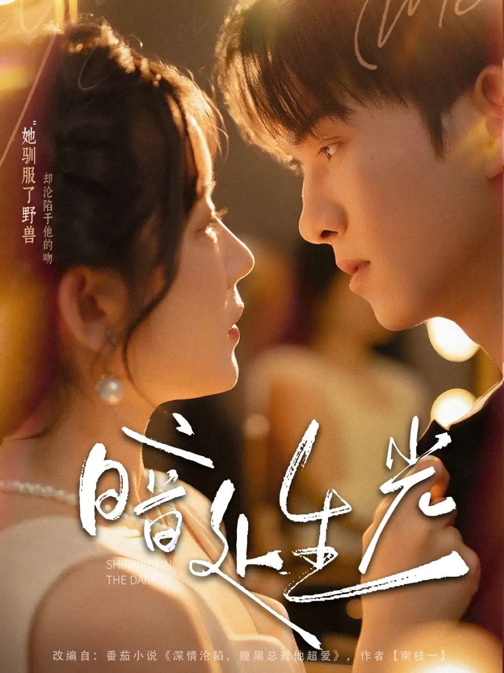 《暗处生光（82集）莫书铭＆冯易鑫》短剧全集免费在线观看