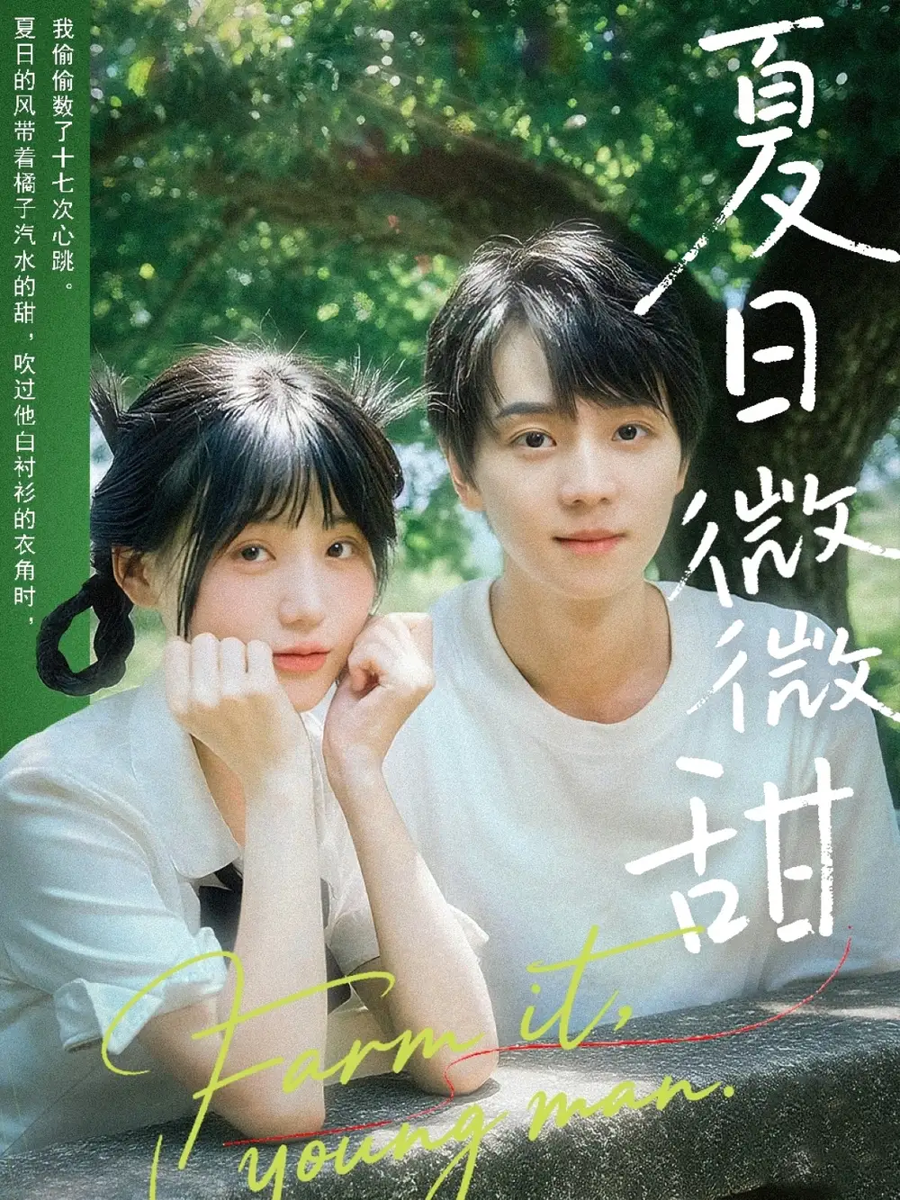 《夏日微微甜（79集）苏泽林＆宋澎澎》短剧全集免费在线观看