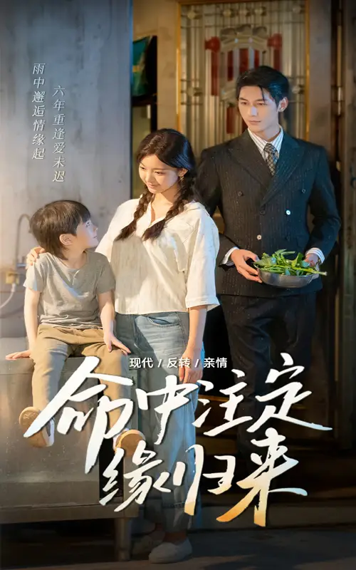 《命中注定缘归来(63集)》短剧全集免费在线观看