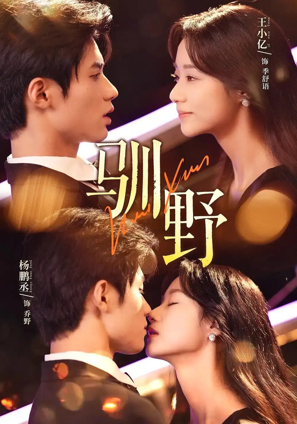 《驯野（77集）》短剧全集免费在线观看