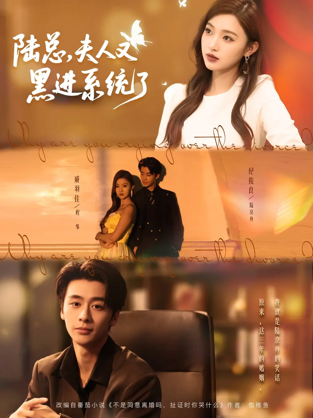 陆总夫人又黑进系统了（81集）全集免费在线观看 - 第一搜