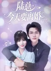 《陆总今天要离婚(81集)陈凯洲&李泫逸》短剧全集免费在线观看